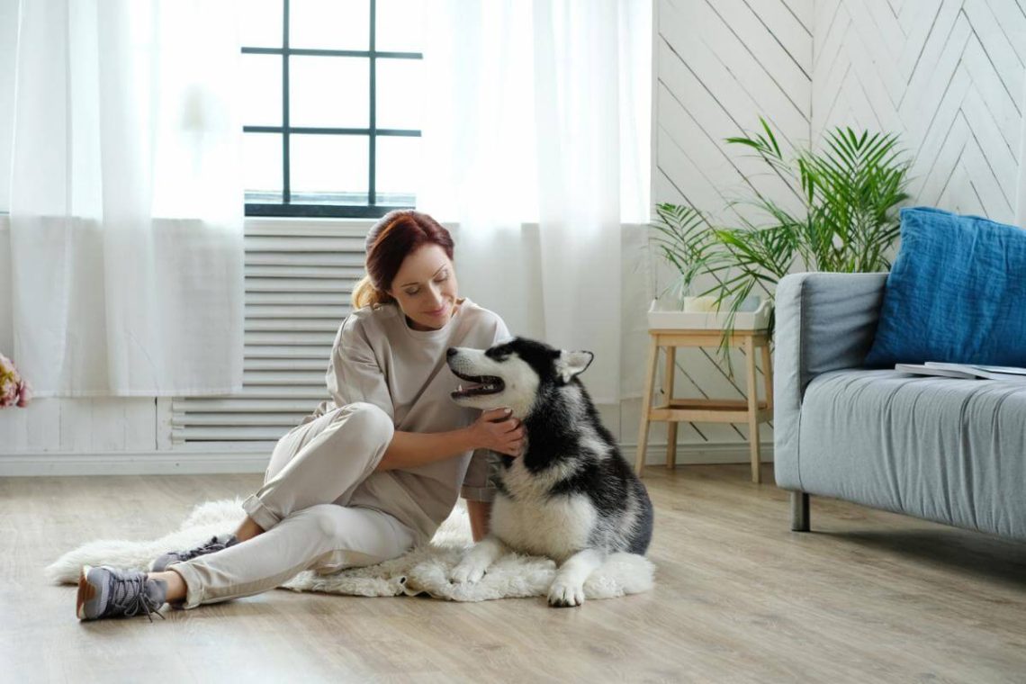 Strategies for Keeping Your Apartment Clean With a Dog