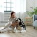Strategies for Keeping Your Apartment Clean With a Dog
