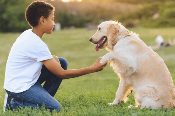Boys and a Dog Homemaking Homeschooling Tips for Busy Folk