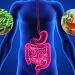 Wellhealthorganic.com Simple Ways to Improve Digestive System in Hindi