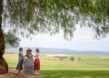 Wine Tours