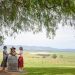 Wine Tours