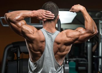 how-to-build-muscle-know-tips-to-increase-muscles