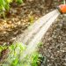 Mastering Garden Drainage: Essential Tips for a Thriving Landscape