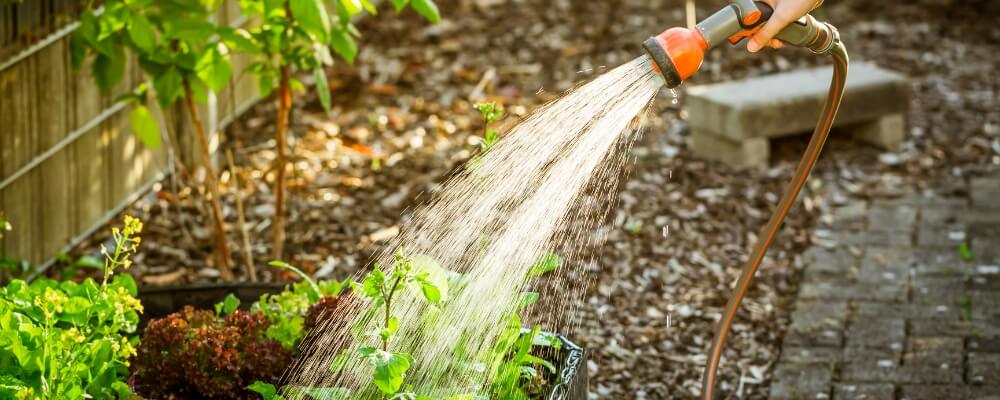 Mastering Garden Drainage: Essential Tips for a Thriving Landscape