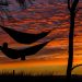 Rise With Positivity And Set the Tone for a Better Day Ahead