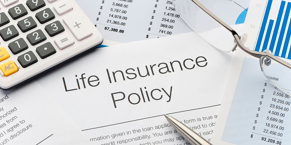Securing Your Future: Finding the Best Life Insurance Options