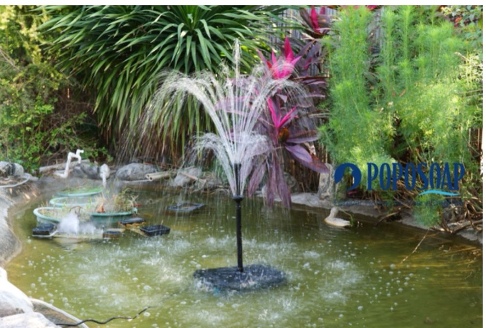 The Unsung Heroes of Garden Ponds: Why the Right Pumps and Filters Matter Most