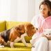 Pet-Friendly Rentals: Is Allowing Pets a Smart Move for Landlords?