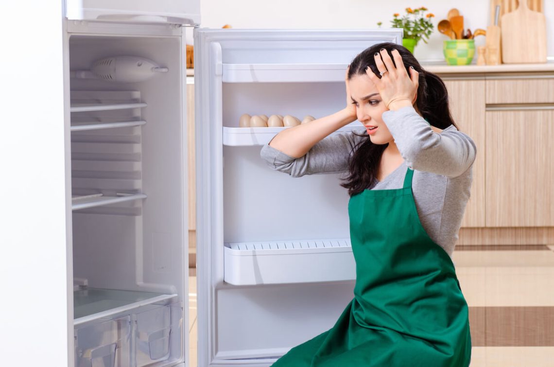 Don’t Let Your Food Spoil: 5 Common Refrigerator Issues and Easy Fixes