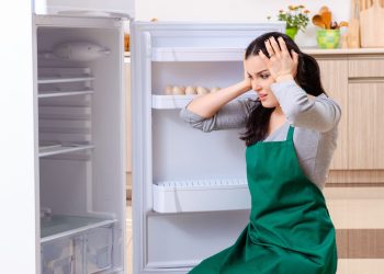 Don’t Let Your Food Spoil: 5 Common Refrigerator Issues and Easy Fixes