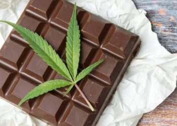 A Simple Edible Guide for New Buyers in Fort Myers