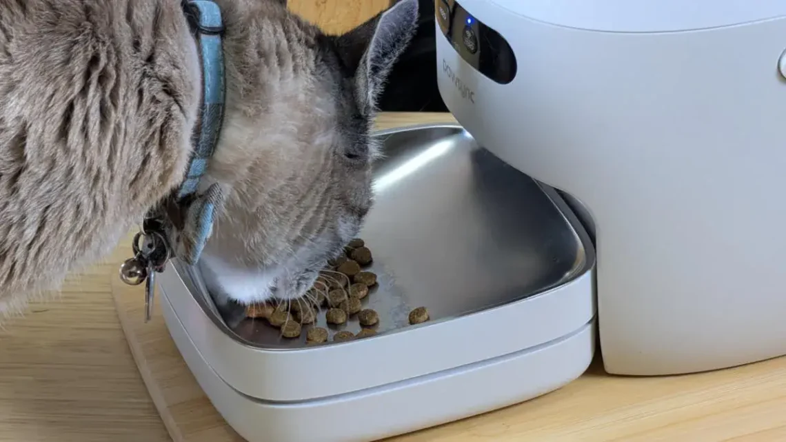 Why Smart Pet Feeding Is Moving Beyond Simple Automation