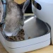 Why Smart Pet Feeding Is Moving Beyond Simple Automation